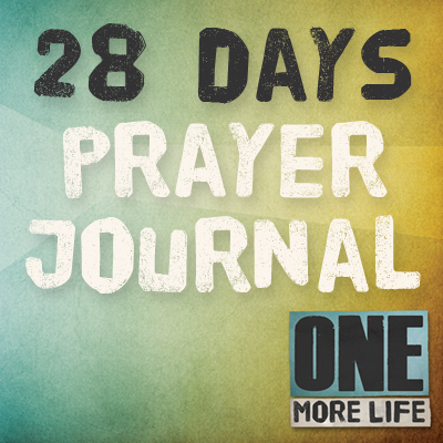 28 day pj sq