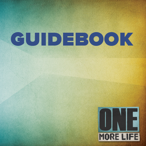 Guidebook for One More Life