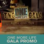 gala promo sq